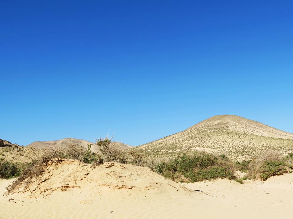 beach desert beach