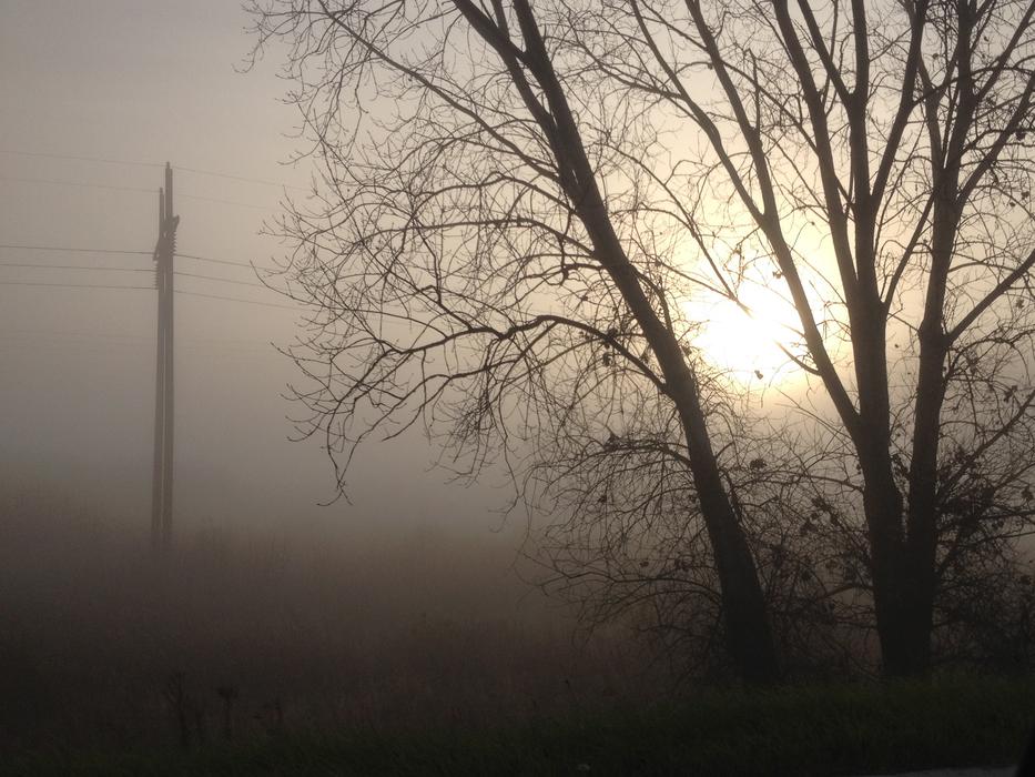 Morning Fog Sun