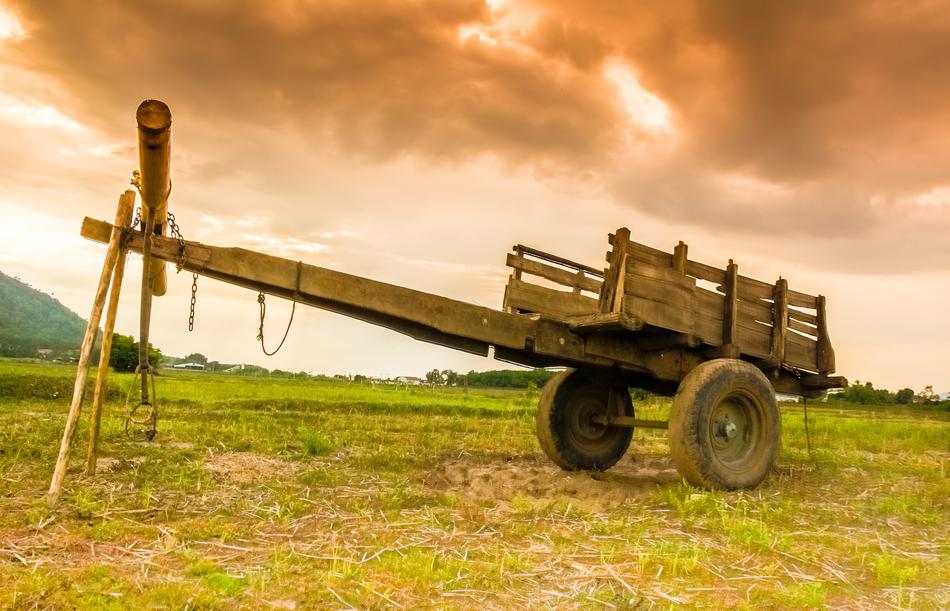 Car Cow Vehicle Shipping The