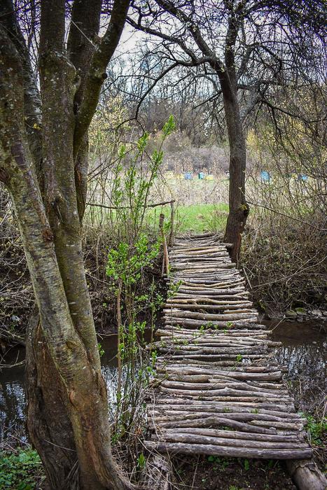 Path Bridge Park