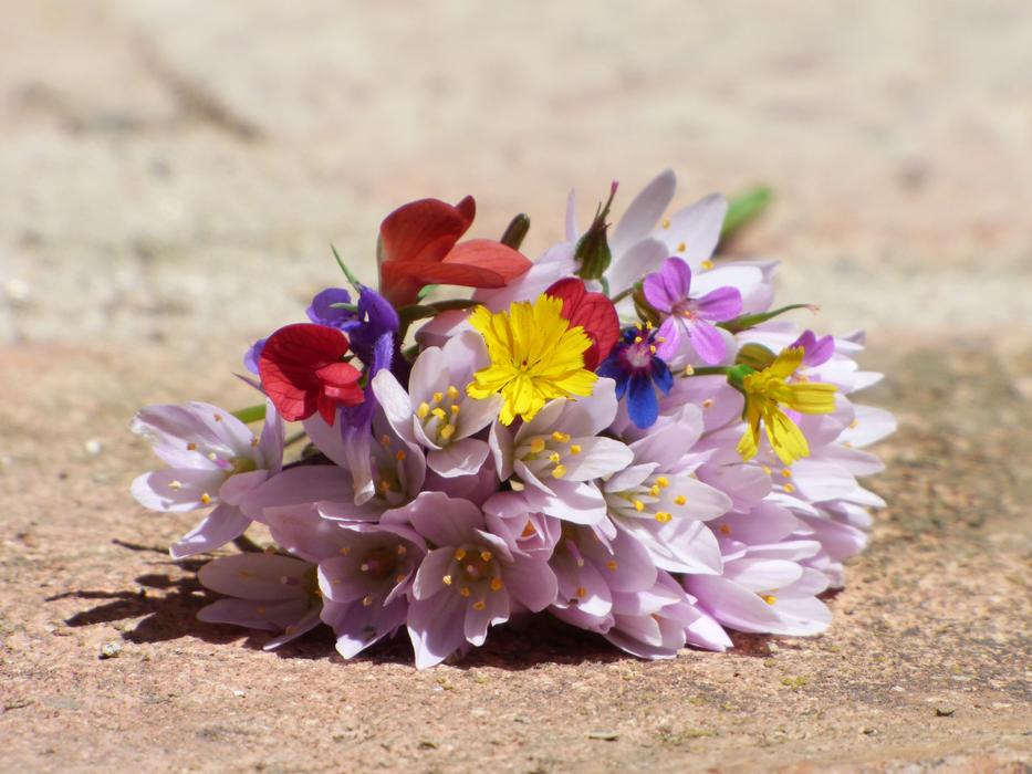 Flowers Wild Corsage Still