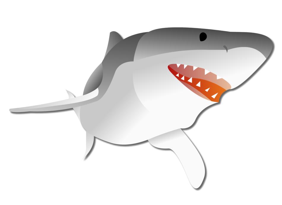 shark graphic predator