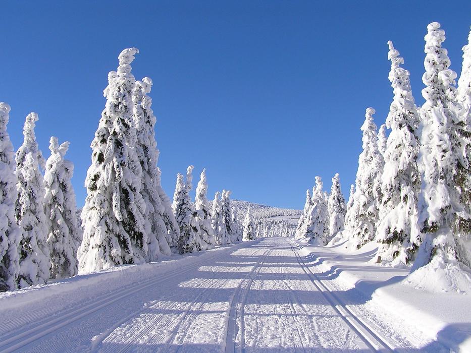 Winter Mountains The Giant