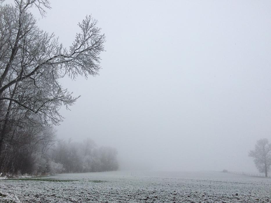 Snow Winter Landscape Trees