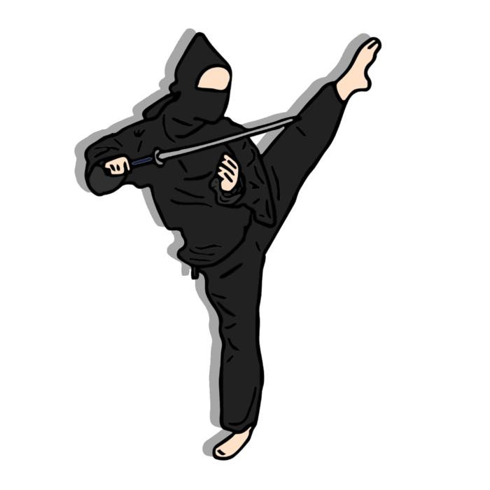 ninja fighter hero shadow