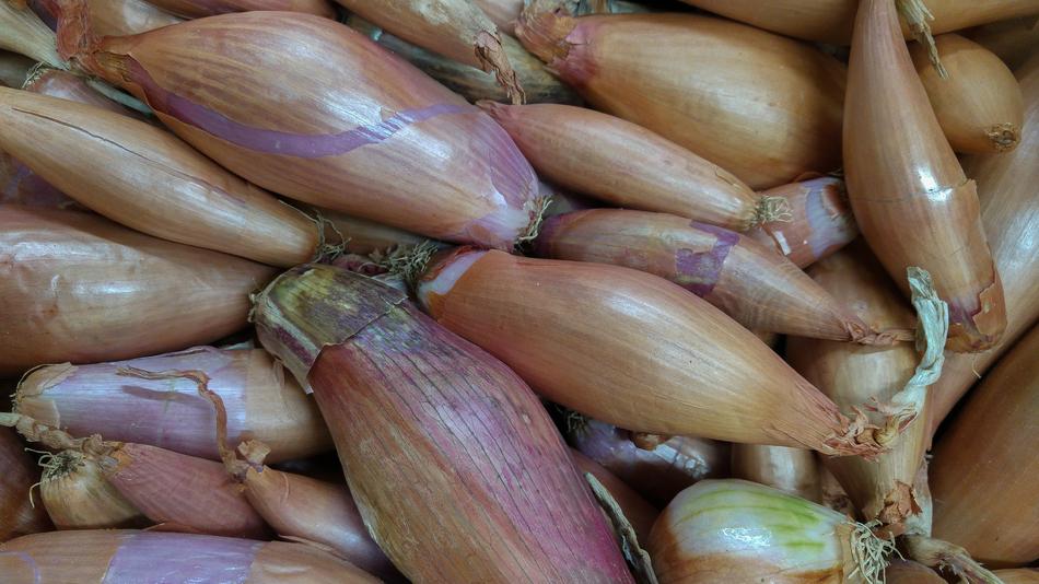 Shallots Onions Vegetable Garden