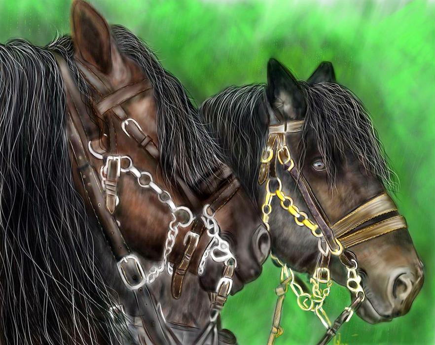couple migratory horses