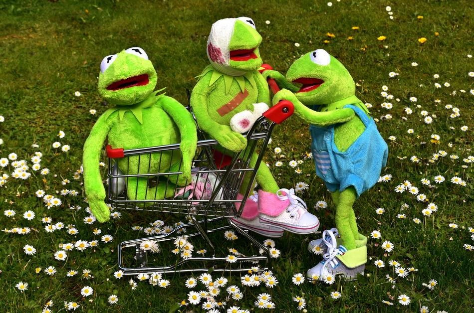 Kermit Frog Plush Toys Shopping