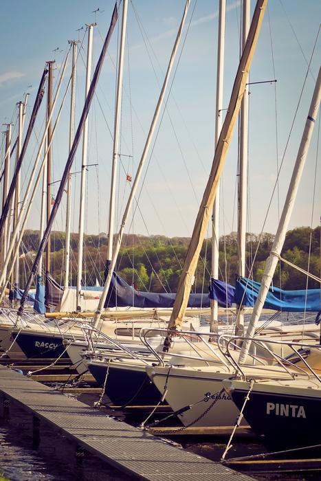 Sailing Boats Web Yacht
