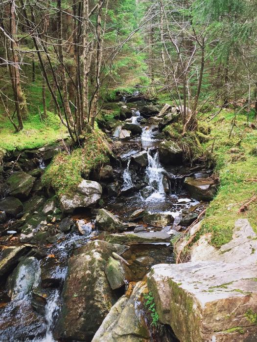 Stream Water River The Nature Of