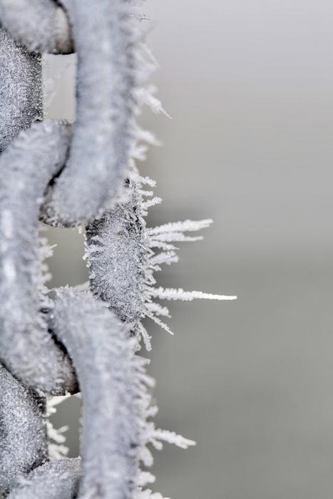 Macro Chain Winter