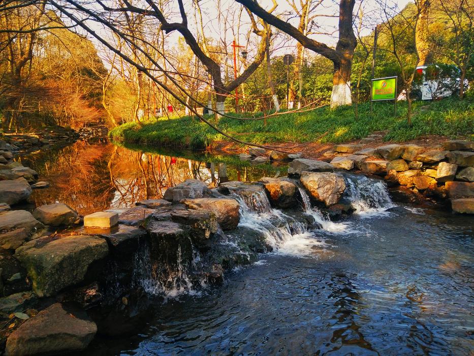 Nine Brooks Smoke Tree Creeks