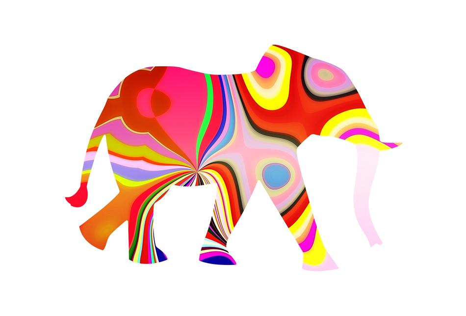 Elephant With Pattern