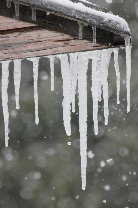Icicle Winter Ice