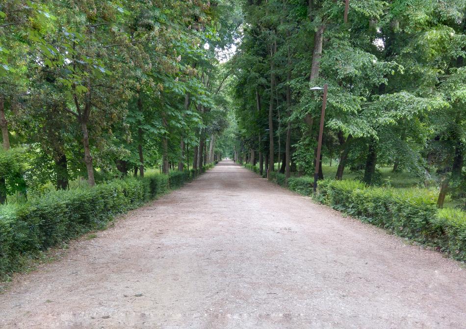 a beautiful road leading to a green park