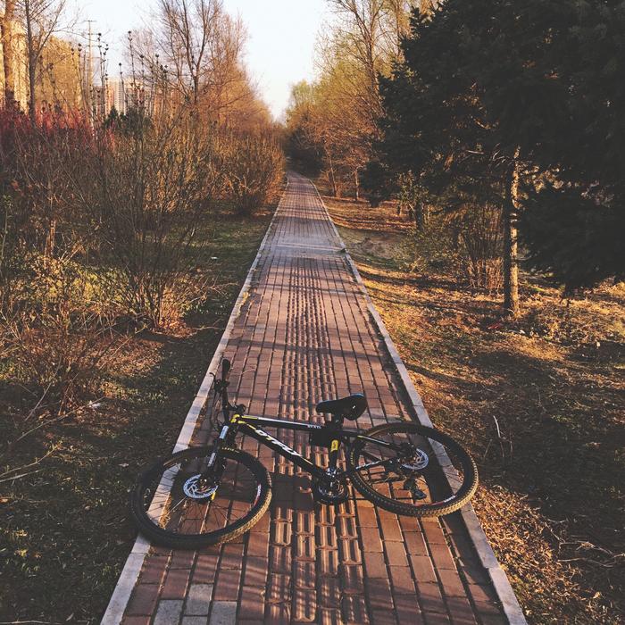 Bike at Street in Spring