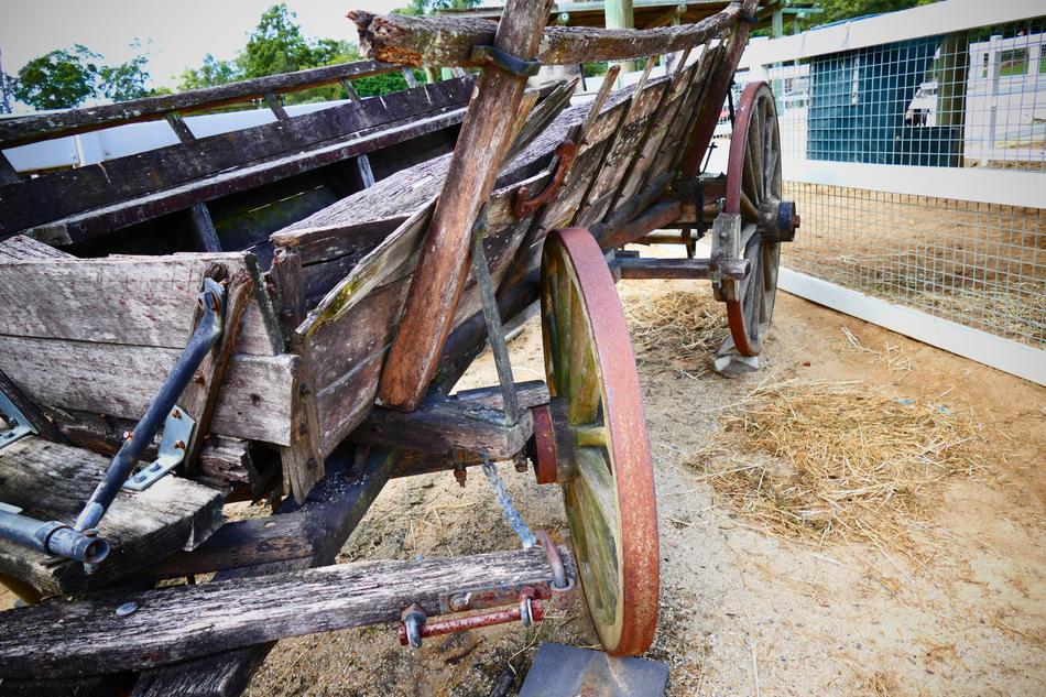 Cart Old Vintage