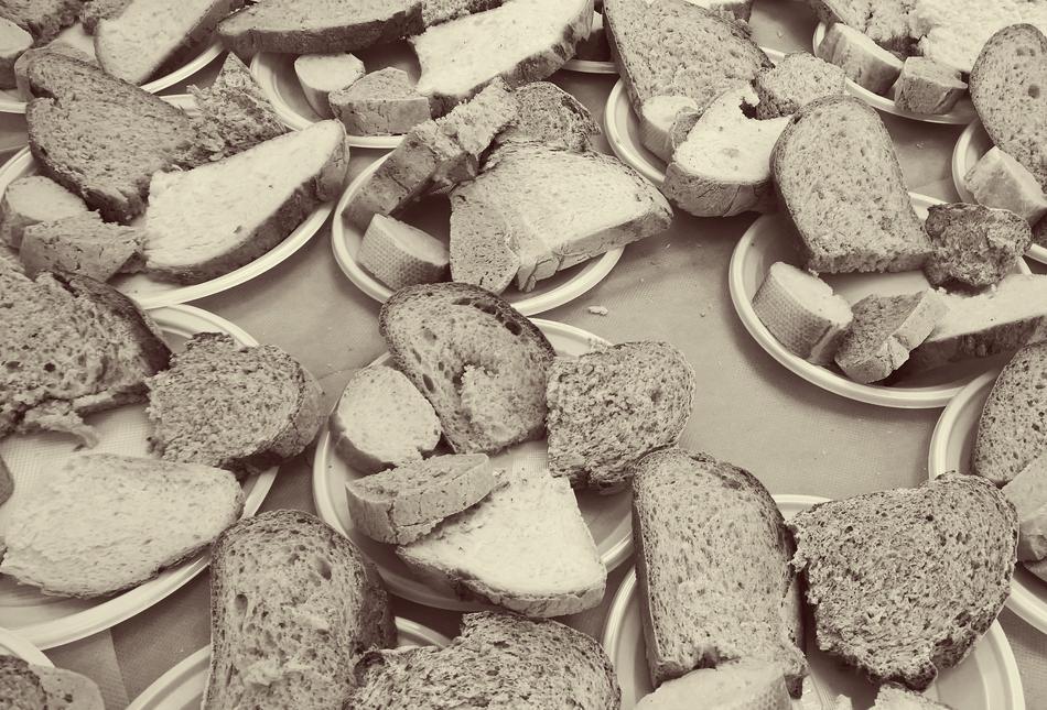 Bread Tasting Healthy Food Whole