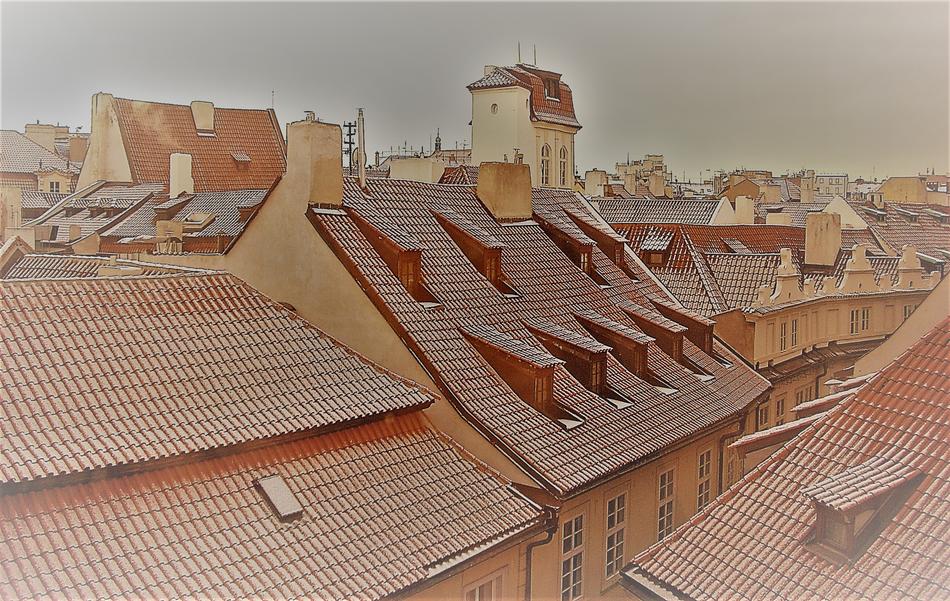 tile roof in the village