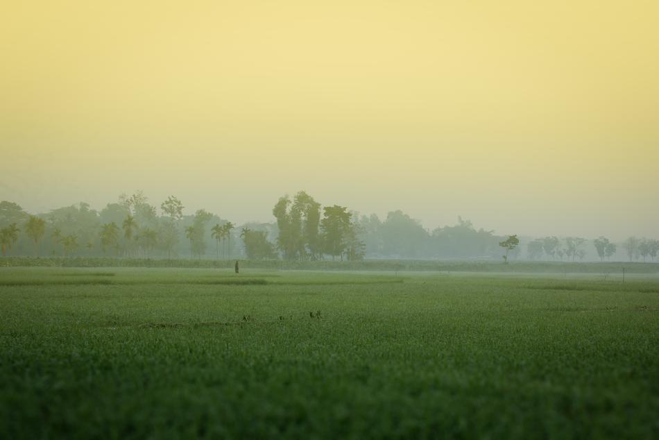 Winter Morning Bangladesh