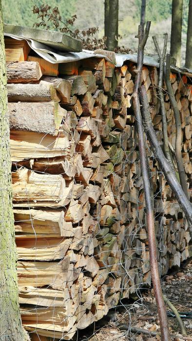 Wood Holzstapel Tree Trunks