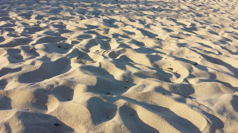 desert in the sunshine