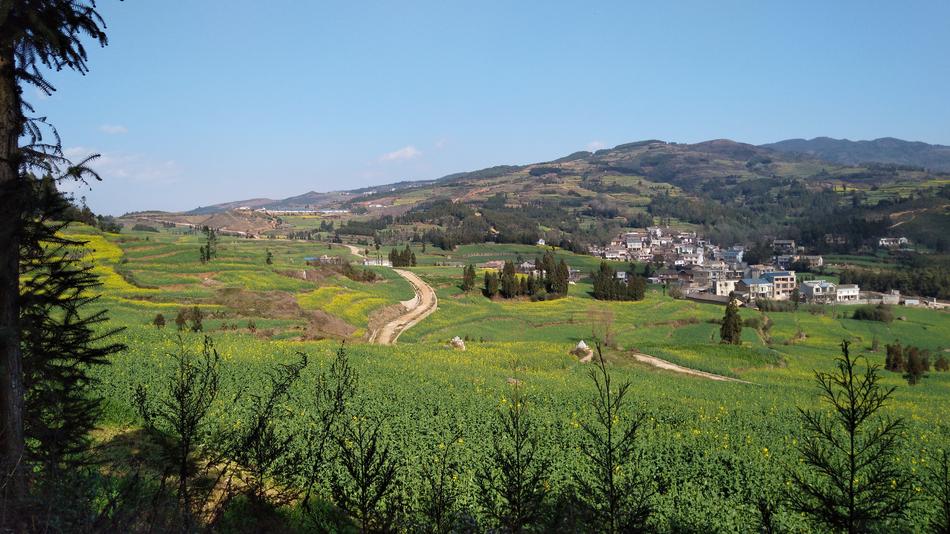 Road Scenery