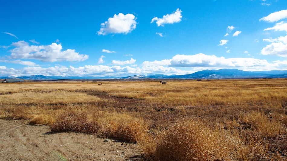 Beautiful Landscape Of Colorado