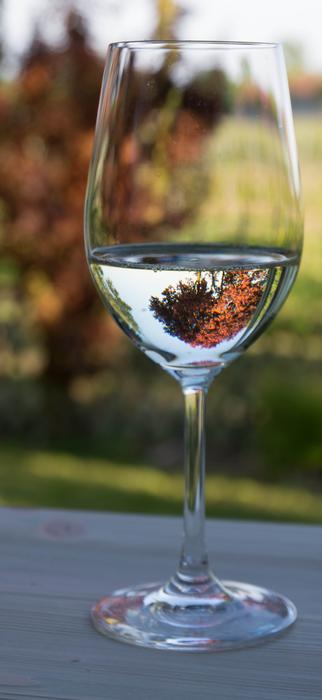 clean glass of water