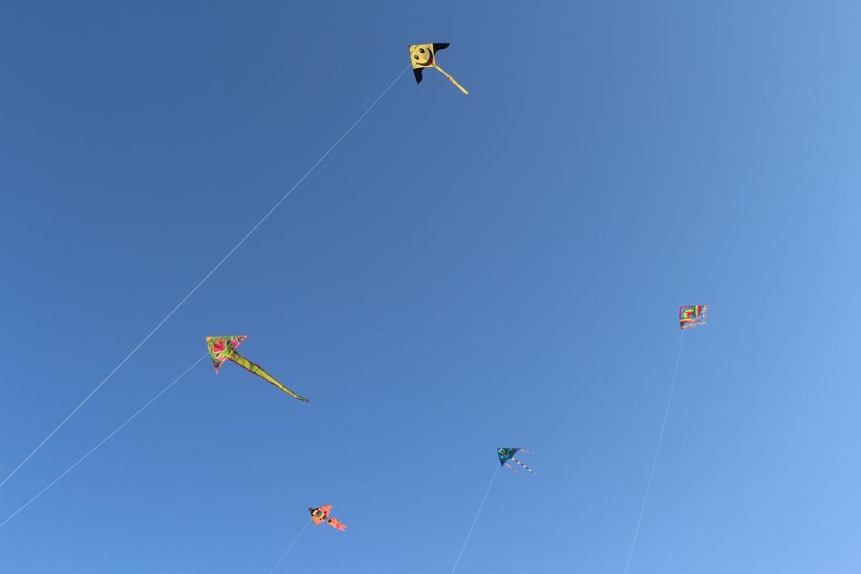 colored flying snakes in the sky