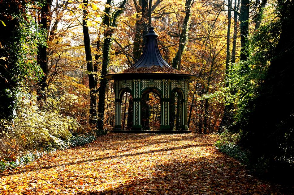 Autumn Pavilion Leaves