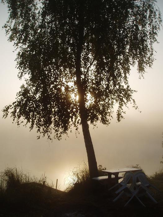 Morning Sunrise Fog