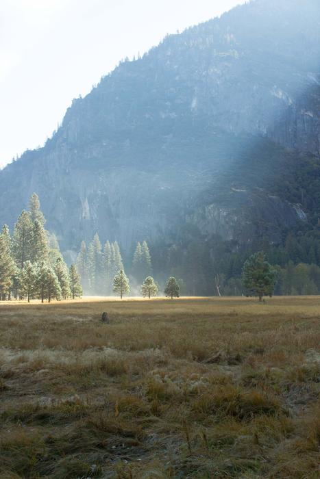 Yosemite Mist