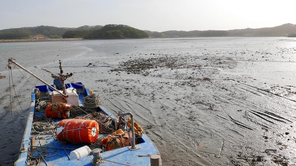 Times Sea