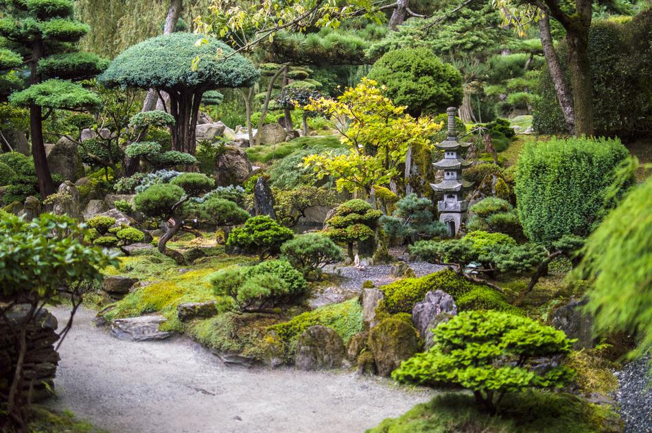 Japanese Garden