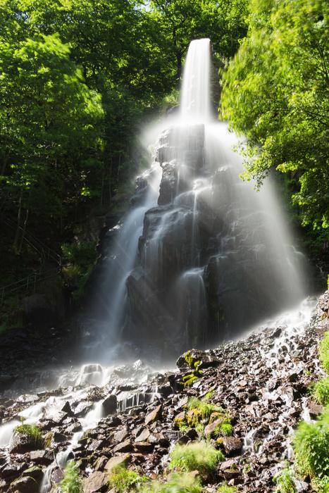 magnificent waterfall in the forest
