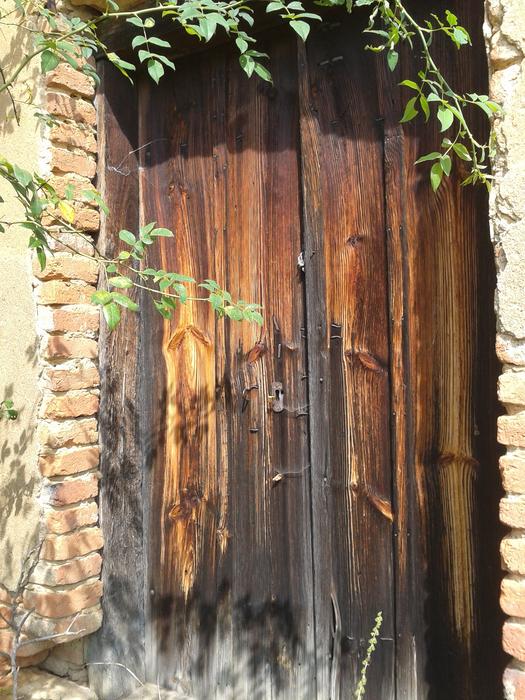 wooden old door in the fence