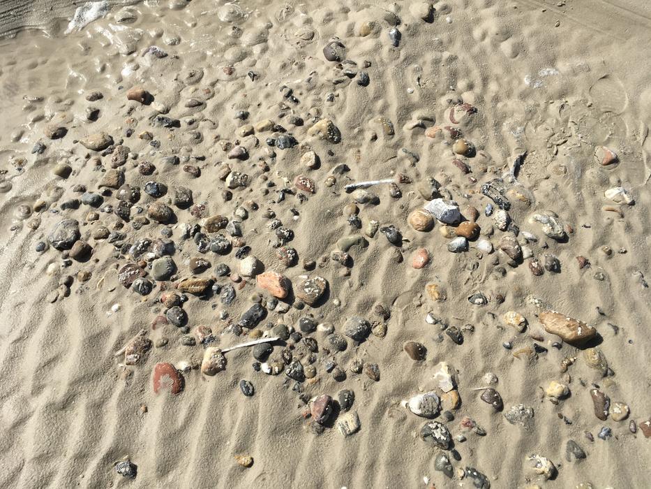 North Sea Sand Beach stones