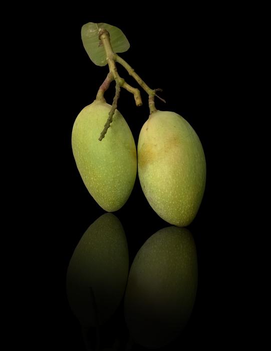 Mangoes Fresh