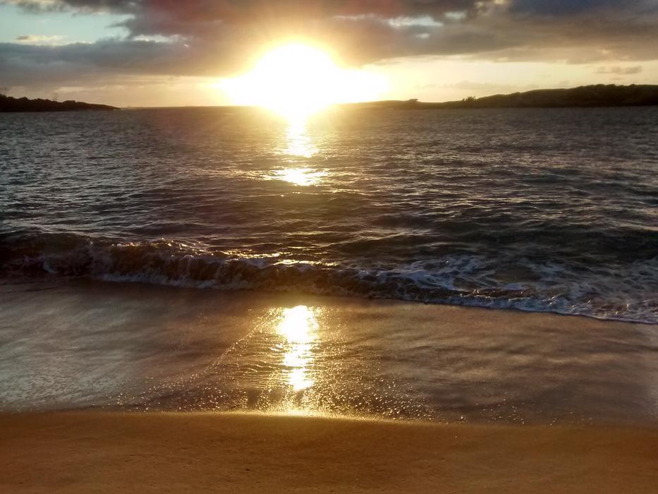 sunny gorgeous sunset