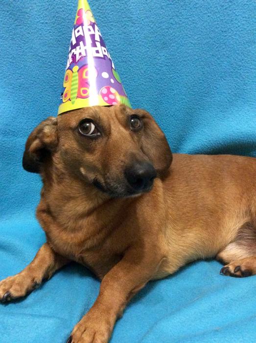 Party Day Of Birth