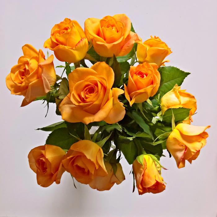 cozy orange bouquet of flowers