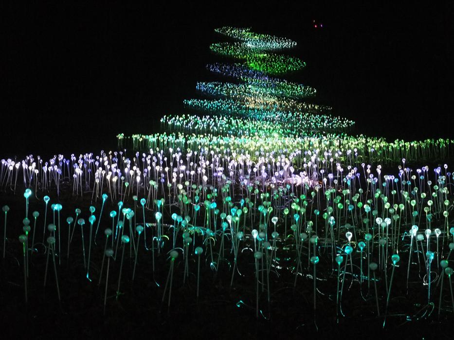 Lights Scenic Colour