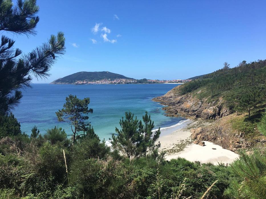 blue ocean with beach and grass on rocks