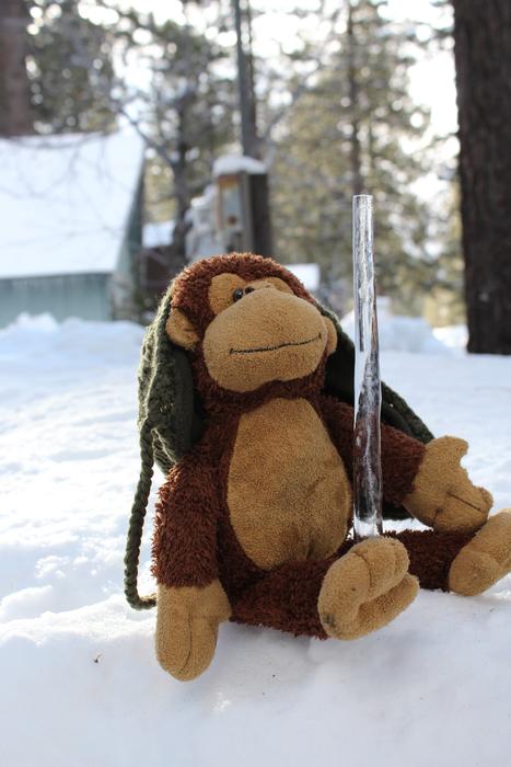 Stuffed Animal Monkey