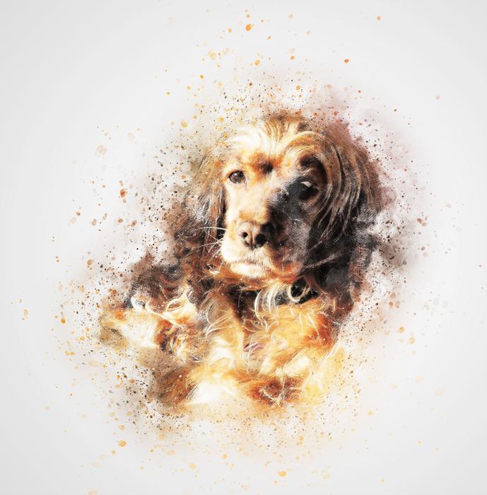 cute fluffy dog drawing
