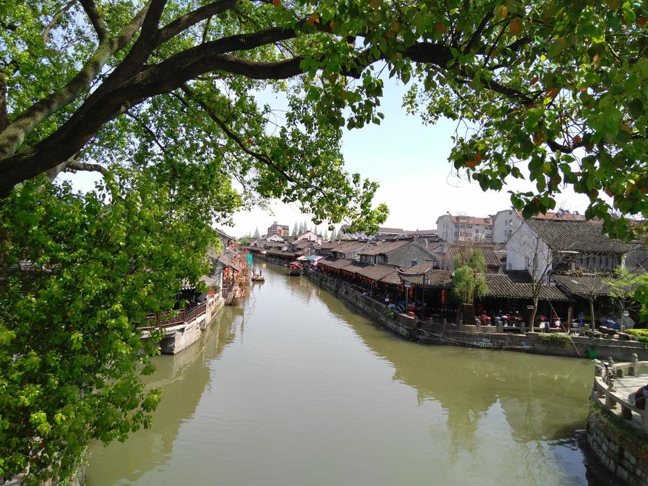 beautiful houses by the green river