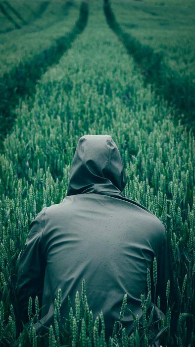 hooded man in the green field