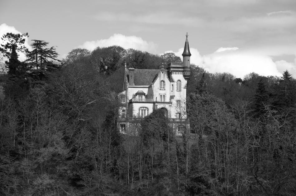 mansion with turret on mountain side in forest