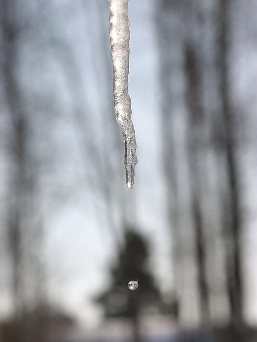 dangling icicle on the roof